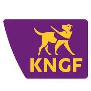 logo KNGF - image 