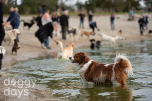 2021 Doggy Days weekend zaterdag