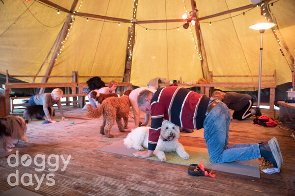 Honden yoga